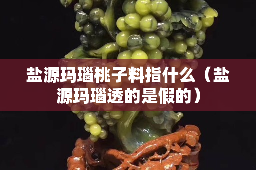 鹽源瑪瑙桃子料指什么（鹽源瑪瑙透的是假的）