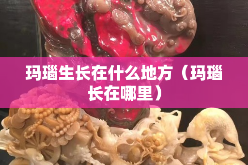 瑪瑙生長在什么地方（瑪瑙長在哪里）