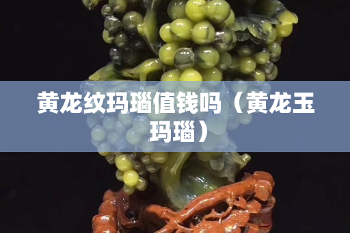 黃龍紋瑪瑙值錢嗎（黃龍玉 瑪瑙）
