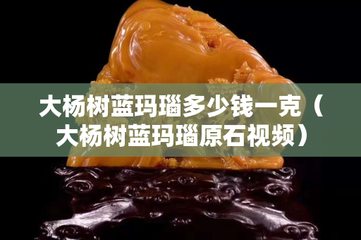 大楊樹藍瑪瑙多少錢一克（大楊樹藍瑪瑙原石視頻）
