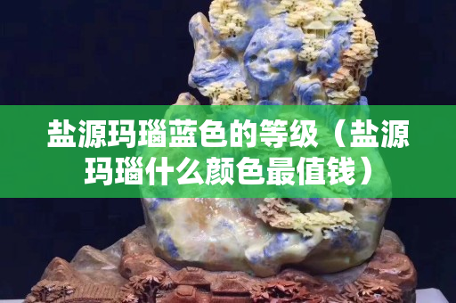鹽源瑪瑙藍色的等級（鹽源瑪瑙什么顏色最值錢）