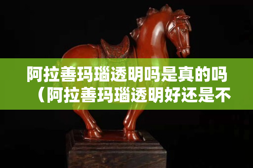 阿拉善瑪瑙透明嗎是真的嗎（阿拉善瑪瑙透明好還是不透明）
