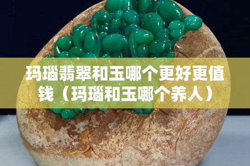 瑪瑙翡翠和玉哪個更好更值錢（瑪瑙和玉哪個養人）