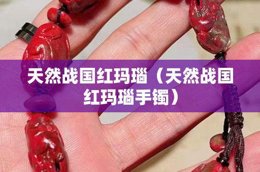 天然戰國紅瑪瑙（天然戰國紅瑪瑙手鐲）