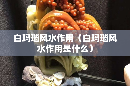 白瑪瑙風水作用（白瑪瑙風水作用是什么）