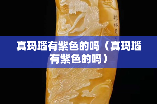 真瑪瑙有紫色的嗎（真瑪瑙有紫色的嗎）