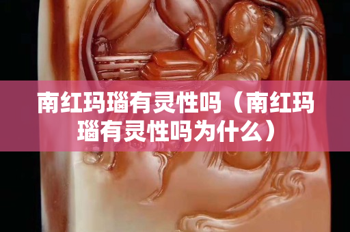 南紅瑪瑙有靈性嗎（南紅瑪瑙有靈性嗎為什么）