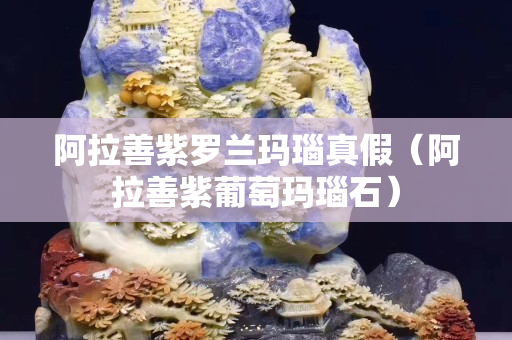 阿拉善紫羅蘭瑪瑙真假（阿拉善紫葡萄瑪瑙石）