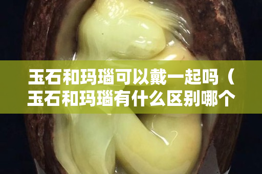 玉石和瑪瑙可以戴一起嗎（玉石和瑪瑙有什么區別哪個的價值更高）