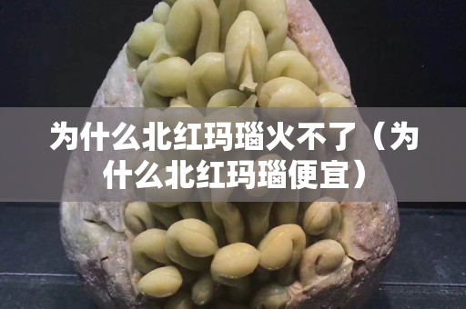 為什么北紅瑪瑙火不了（為什么北紅瑪瑙便宜）