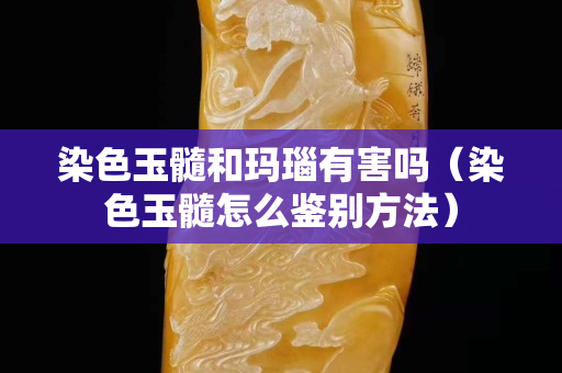 染色玉髓和瑪瑙有害嗎（染色玉髓怎么鑒別方法）