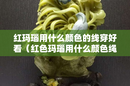 紅瑪瑙用什么顏色的線穿好看（紅色瑪瑙用什么顏色繩好看）