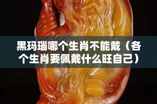 黑瑪瑙哪個生肖不能戴（各個生肖要佩戴什么旺自己）