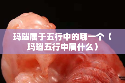 瑪瑙屬于五行中的哪一個（瑪瑙五行中屬什么）