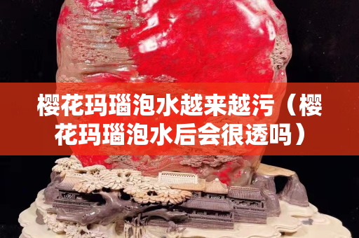 櫻花瑪瑙泡水越來越污（櫻花瑪瑙泡水后會很透嗎）