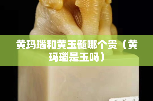 黃瑪瑙和黃玉髓哪個貴（黃瑪瑙是玉嗎）
