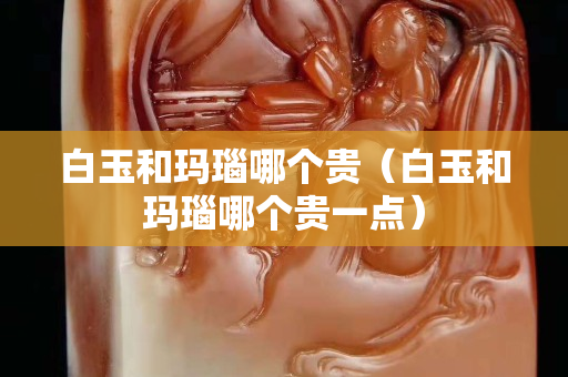 白玉和瑪瑙哪個貴（白玉和瑪瑙哪個貴一點）