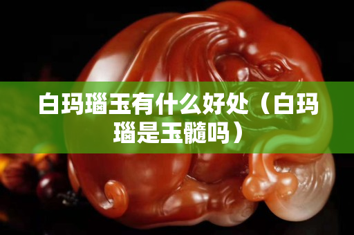 白瑪瑙玉有什么好處（白瑪瑙是玉髓嗎）