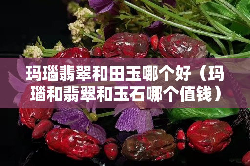 瑪瑙翡翠和田玉哪個好（瑪瑙和翡翠和玉石哪個值錢）