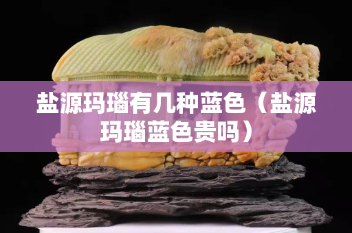 鹽源瑪瑙有幾種藍色（鹽源瑪瑙藍色貴嗎）