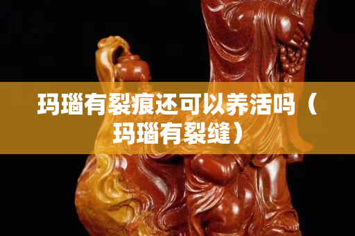 瑪瑙有裂痕還可以養活嗎（瑪瑙有裂縫）
