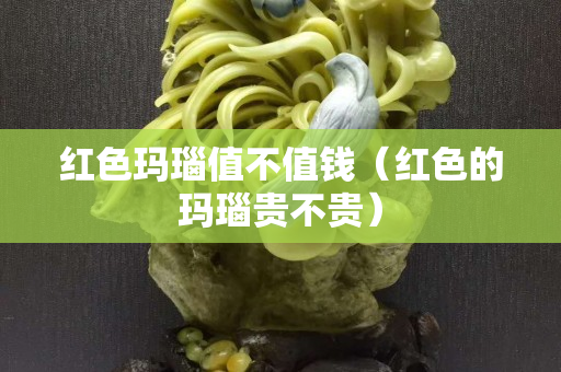 紅色瑪瑙值不值錢（紅色的瑪瑙貴不貴）