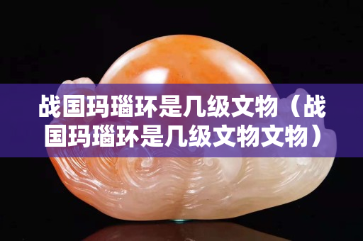 戰(zhàn)國瑪瑙環(huán)是幾級(jí)文物（戰(zhàn)國瑪瑙環(huán)是幾級(jí)文物文物）