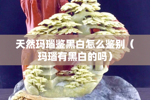天然瑪瑙鑒黑白怎么鑒別（瑪瑙有黑白的嗎）