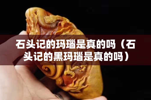 石頭記的瑪瑙是真的嗎（石頭記的黑瑪瑙是真的嗎）