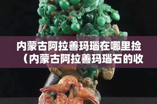 內蒙古阿拉善瑪瑙在哪里撿（內蒙古阿拉善瑪瑙石的收藏價值）