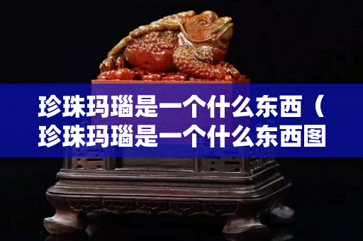 珍珠瑪瑙是一個(gè)什么東西（珍珠瑪瑙是一個(gè)什么東西圖片）