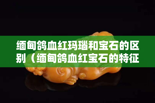 緬甸鴿血紅瑪瑙和寶石的區別（緬甸鴿血紅寶石的特征）
