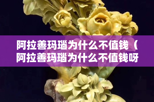 阿拉善瑪瑙為什么不值錢（阿拉善瑪瑙為什么不值錢呀）