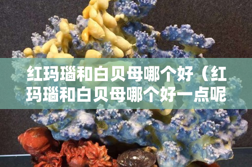 紅瑪瑙和白貝母哪個(gè)好（紅瑪瑙和白貝母哪個(gè)好一點(diǎn)呢）