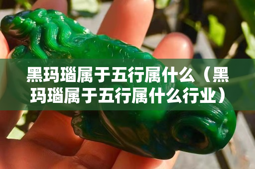 黑瑪瑙屬于五行屬什么（黑瑪瑙屬于五行屬什么行業(yè)）