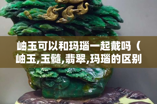 岫玉可以和瑪瑙一起戴嗎（岫玉,玉髓,翡翠,瑪瑙的區別）
