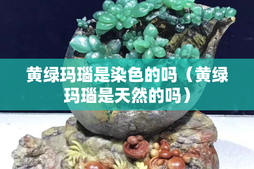 黃綠瑪瑙是染色的嗎（黃綠瑪瑙是天然的嗎）