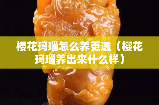 櫻花瑪瑙怎么養更透（櫻花瑪瑙養出來什么樣）