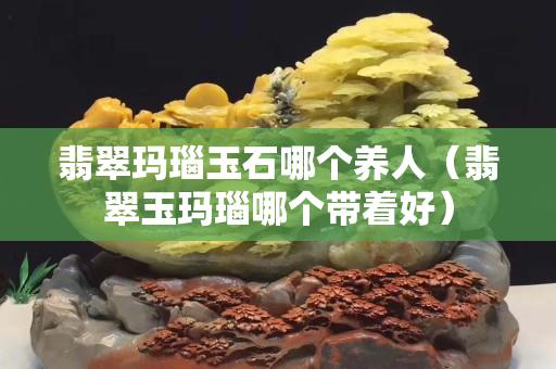 翡翠瑪瑙玉石哪個(gè)養(yǎng)人（翡翠玉瑪瑙哪個(gè)帶著好）