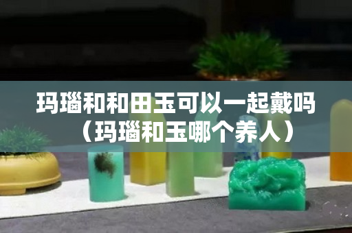 瑪瑙和和田玉可以一起戴嗎（瑪瑙和玉哪個(gè)養(yǎng)人）