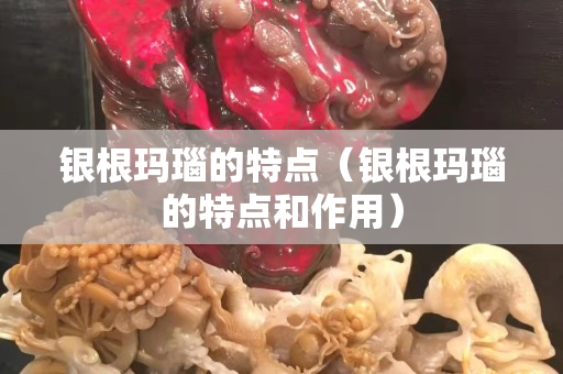 銀根瑪瑙的特點（銀根瑪瑙的特點和作用）