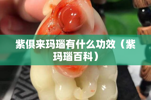 紫俱來瑪瑙有什么功效（紫瑪瑙百科）