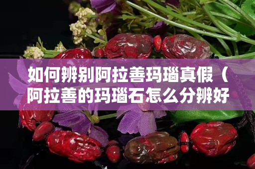 如何辨別阿拉善瑪瑙真假（阿拉善的瑪瑙石怎么分辨好壞）