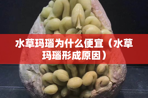 水草瑪瑙為什么便宜（水草瑪瑙形成原因）