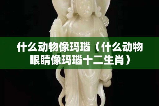 什么動物像瑪瑙（什么動物眼睛像瑪瑙十二生肖）