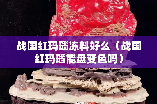 戰國紅瑪瑙凍料好么（戰國紅瑪瑙能盤變色嗎）