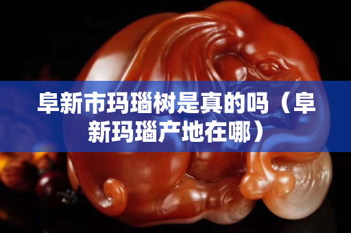 阜新市瑪瑙樹是真的嗎（阜新瑪瑙產地在哪）