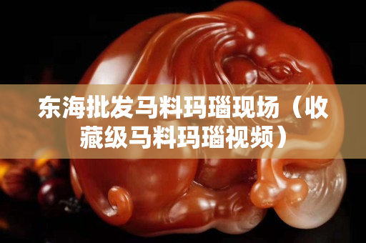 東海批發(fā)馬料瑪瑙現(xiàn)場(chǎng)（收藏級(jí)馬料瑪瑙視頻）