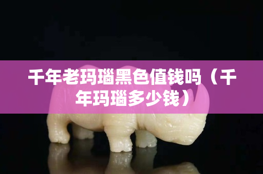 千年老瑪瑙黑色值錢嗎（千年瑪瑙多少錢）