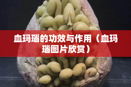 血瑪瑙的功效與作用（血瑪瑙圖片欣賞）